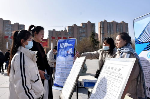 河北清苑 春風(fēng)行動(dòng) 架起招聘求職 連心橋